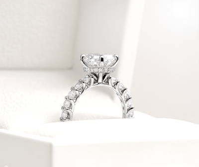 The Diana Ring - Lab Grown Diamond with Large Diamond Pave Band and Hidden Halo